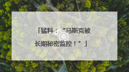 猛料：“马斯克被长期秘密监控！”