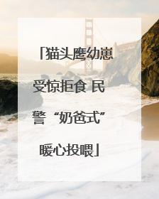 猫头鹰幼崽受惊拒食 民警“奶爸式”暖心投喂
