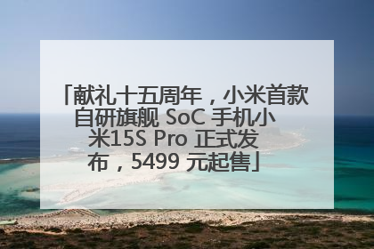 献礼十五周年，小米首款自研旗舰 SoC 手机小米15S Pro 正式发布，5499 元起售
