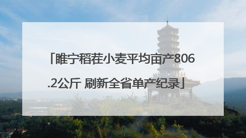睢宁稻茬小麦平均亩产806.2公斤 刷新全省单产纪录