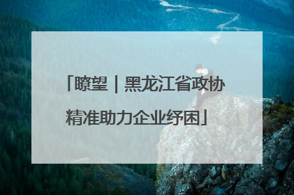 瞭望｜黑龙江省政协精准助力企业纾困