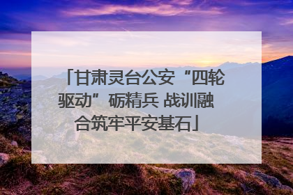甘肃灵台公安“四轮驱动”砺精兵 战训融合筑牢平安基石