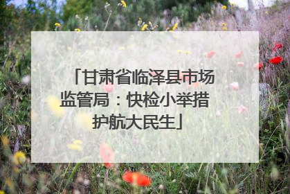 甘肃省临泽县市场监管局：快检小举措 护航大民生