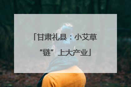 甘肃礼县：小艾草“链”上大产业