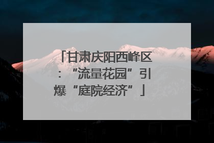 甘肃庆阳西峰区：“流量花园”引爆“庭院经济”