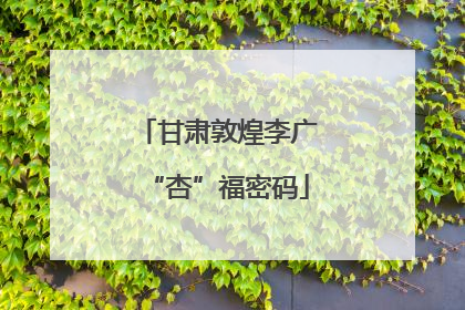 甘肃敦煌李广“杏”福密码