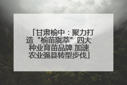 甘肃榆中：聚力打造“榆苗陇萃”四大种业育苗品牌 加速农业强县转型步伐
