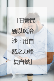 甘肃民勤以风治沙：用自然之力修复自然