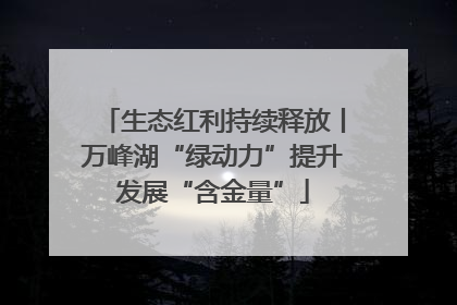 生态红利持续释放丨万峰湖“绿动力”提升发展“含金量”