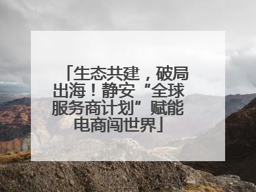 生态共建，破局出海！静安“全球服务商计划”赋能电商闯世界