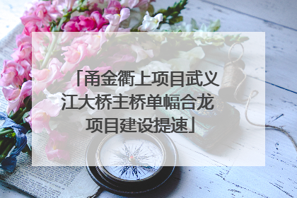 甬金衢上项目武义江大桥主桥单幅合龙 项目建设提速