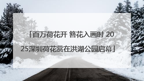 百万荷花开 簪花入画时 2025深圳荷花赏在洪湖公园启幕