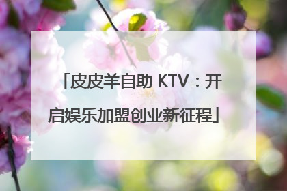 皮皮羊自助 KTV：开启娱乐加盟创业新征程