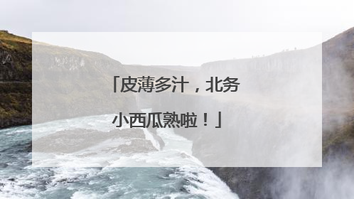 皮薄多汁，北务小西瓜熟啦！