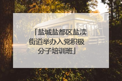 盐城盐都区盐渎街道举办入党积极分子培训班
