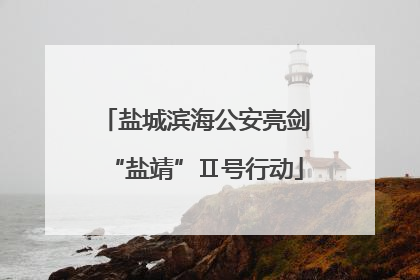 盐城滨海公安亮剑“盐靖”Ⅱ号行动