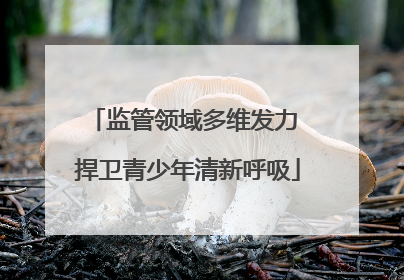 监管领域多维发力 捍卫青少年清新呼吸