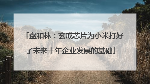 盘和林：玄戒芯片为小米打好了未来十年企业发展的基础