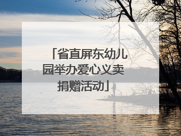 省直屏东幼儿园举办爱心义卖捐赠活动