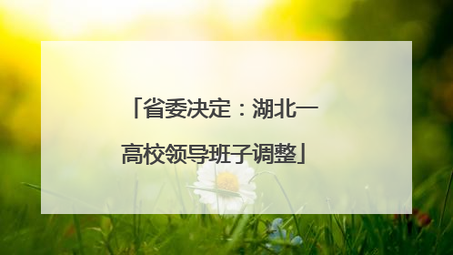 省委决定：湖北一高校领导班子调整