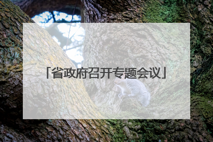 省政府召开专题会议