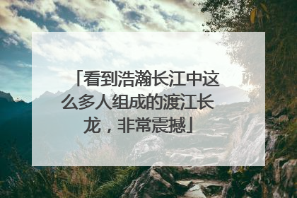 看到浩瀚长江中这么多人组成的渡江长龙，非常震撼