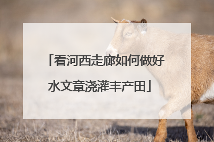 看河西走廊如何做好水文章浇灌丰产田