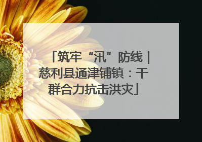 筑牢“汛”防线｜慈利县通津铺镇：干群合力抗击洪灾