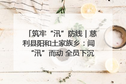筑牢“汛”防线｜慈利县阳和土家族乡：闻“汛”而动 全员下沉筑牢防汛“安全堤”