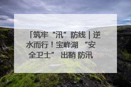 筑牢“汛”防线｜逆水而行！宝峰湖 “安全卫士” 出鞘 防汛应急再添硬核力量