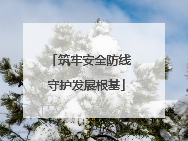 筑牢安全防线 守护发展根基