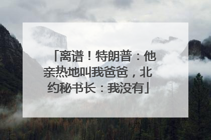 离谱！特朗普：他亲热地叫我爸爸，北约秘书长：我没有