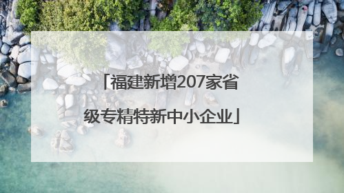 福建新增207家省级专精特新中小企业