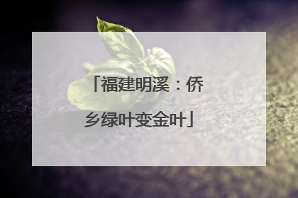 福建明溪：侨乡绿叶变金叶