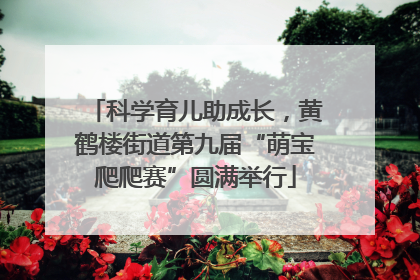 科学育儿助成长，黄鹤楼街道第九届“萌宝爬爬赛”圆满举行