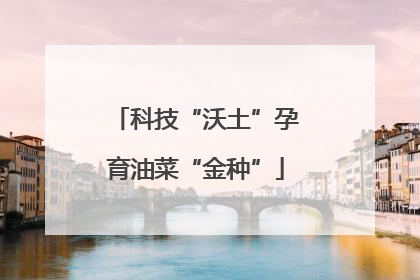 科技“沃土”孕育油菜“金种”