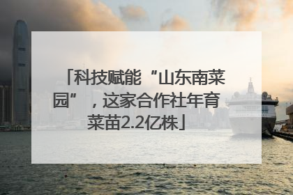 科技赋能“山东南菜园”，这家合作社年育菜苗2.2亿株
