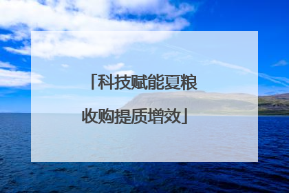 科技赋能夏粮收购提质增效