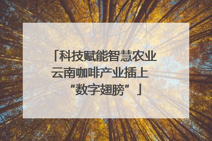 科技赋能智慧农业 云南咖啡产业插上“数字翅膀”