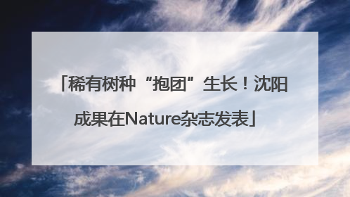 稀有树种“抱团”生长！沈阳成果在Nature杂志发表