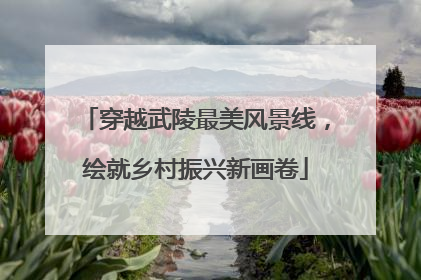 穿越武陵最美风景线，绘就乡村振兴新画卷
