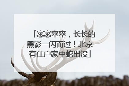 窸窸窣窣，长长的黑影一闪而过！北京有住户家中蛇出没