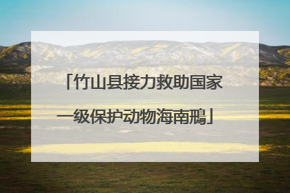 竹山县接力救助国家一级保护动物海南鳽
