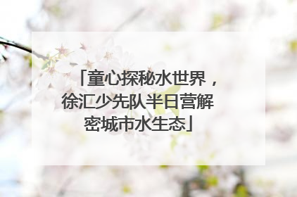 童心探秘水世界，徐汇少先队半日营解密城市水生态