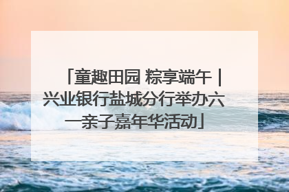 童趣田园 粽享端午｜兴业银行盐城分行举办六一亲子嘉年华活动