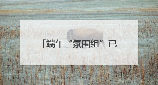 端午“氛围组”已上线，文艺范艾草装饰受年轻人追捧