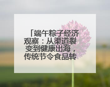 端午粽子经济观察：从渠道裂变到健康出海，传统节令食品转型突围