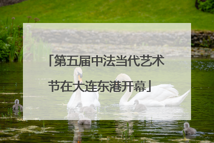 第五届中法当代艺术节在大连东港开幕