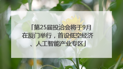第25届投洽会将于9月在厦门举行，首设低空经济、人工智能产业专区