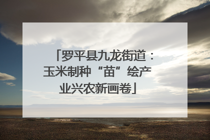 罗平县九龙街道：玉米制种“苗”绘产业兴农新画卷